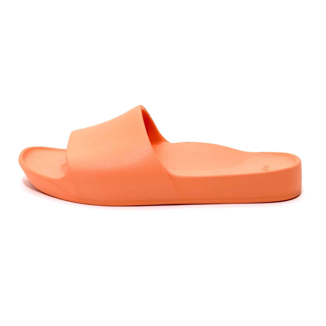 Archie’s Support Slides