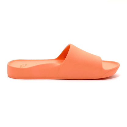 Archie’s Support Slides